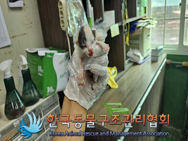 한국동물구조관리협회_411316202400517